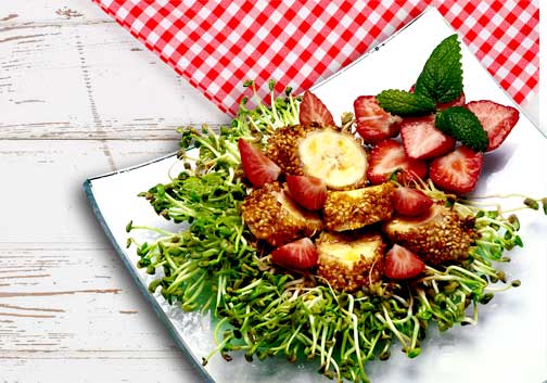 Gebackene Bananen