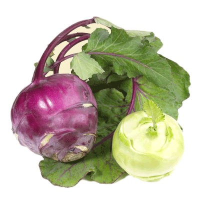 Vor allem die Blätter der Kohlrabi sind reich an Vitamin C (Foto: Fotolia/ExQuisine) Kohlrabi
