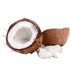 Kokosnuss geöffnete Kokosnuss mit Fruchtfleisch
