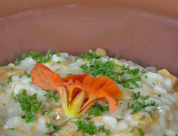 Kürbis-Risotto