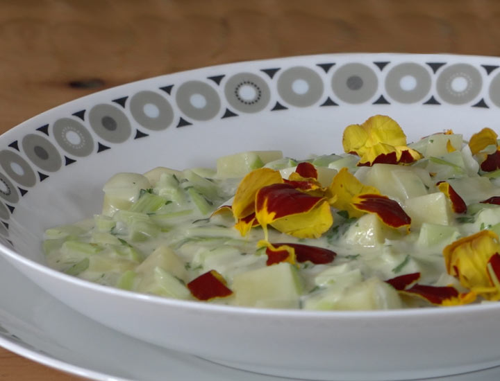 Teller mit Lauch-Ragout
