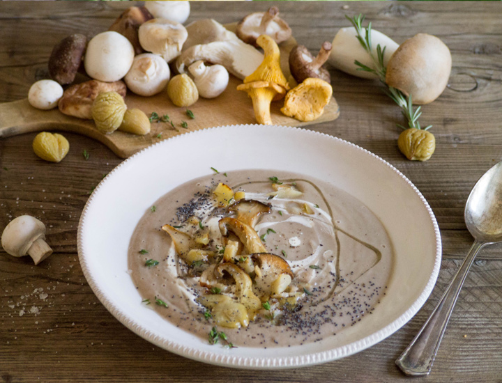 Pilzsuppe mit Pilzen