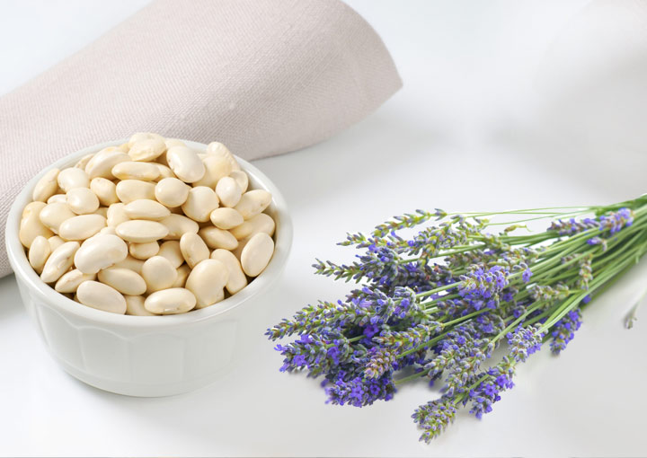 Lavendeleis