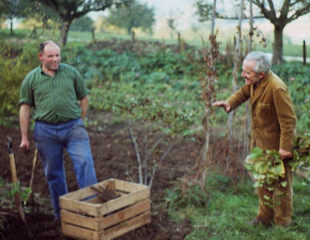 Alfred Vogel bei der Ernte in Teufen Alfred Vogel Teufen