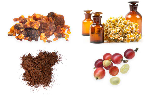 Hilfe aus der Naturheilkunde bei Reizdarm (Foto: 123RF, Kamille V.Merkushev, Kaffeepulver V.Kotliarcai, Myhrre Pl. Maxwell, Kaffeefrüchte Iamsumang) Kombinationspräparat aus Myrrhe, Kamillenöl in getrockneter Form und Kaffeekohle.