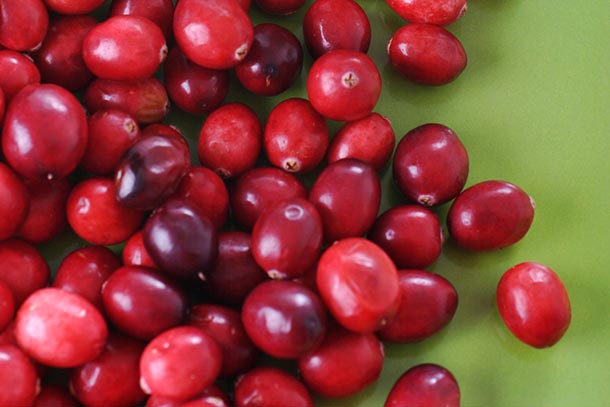 Baies en tous genres (Vaccinium macrocarpon)