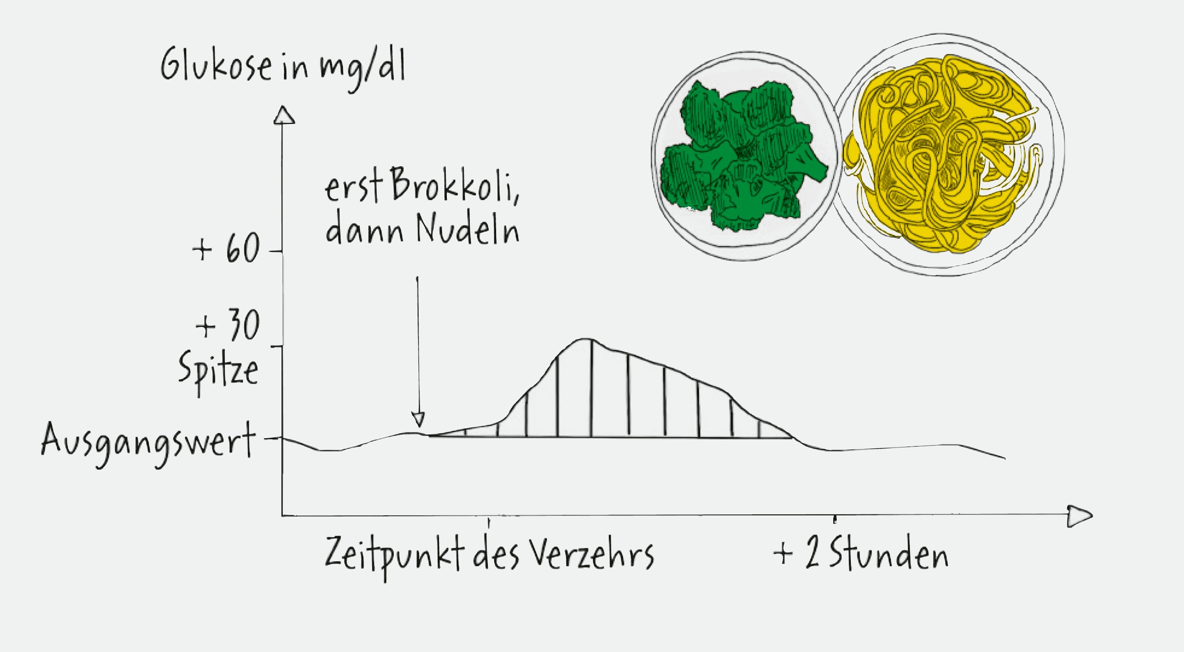 Zuerst Ballaststoffe, dann Kohlenhydrate erzeugt einen geringeren Glukose-Anstieg als andersherum. Glukose-Trick Grafik