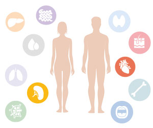 In der mitte stehen Silhouetten einer Frau und eines Mannes. Darum herum schwirren, in buten Kreisen, Organe die mit dem Immunsystem zusammenarbeiten.