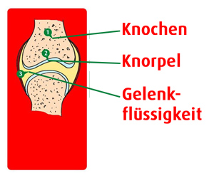 Übersichtsdarstellung Gelenk Gelenk Illustration