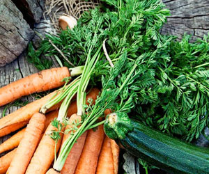 Gesunde Ernährung, A.Vogel Dossier