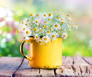 Tipps für ein starkes Immunsystem (Foto: Fotolia)