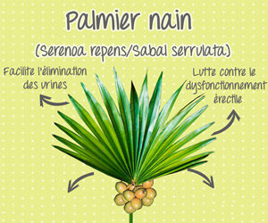 Pamier rain
