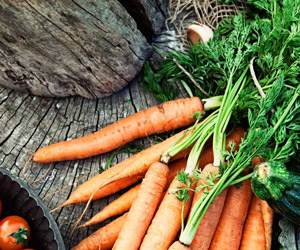 Was ist gesunde Ernährung? Gesunde Ernährung