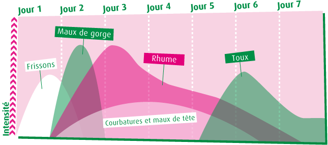 A.Vogel: Programme « refroidissement » de 7 jours ! Programme « refroidissement »