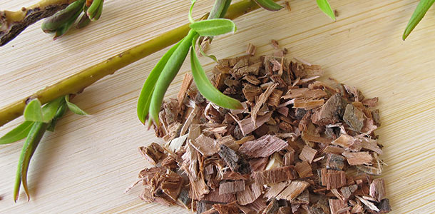Weidenrindenextrakt als Schmerzhemmer