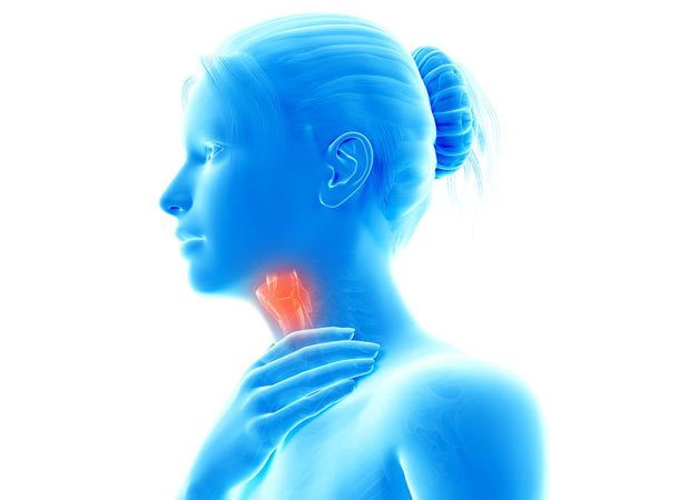 le larynx