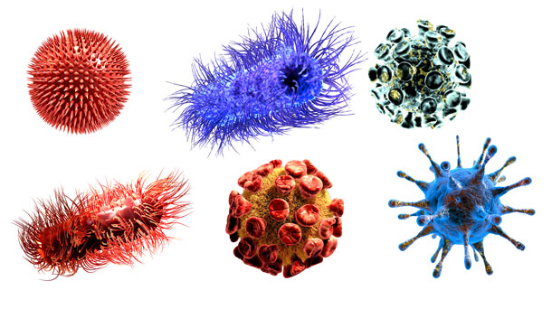 Das Immunsystem bekämpft Eindringlinge (Illustration: 123RF, ralwel) Das Immunsystem muss imstande sein, tolerant auf Veränderungen zu reagieren und gleichzeitig eine mögliche Gefahr erkennen.