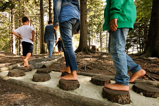 Das erwartet Sie: Holz und Stein in verschiedenen Varianten sowie Brücke und Wippe aus Holz.