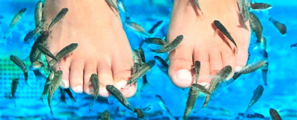 Fish Spa (Photo: 123RF, maridav) De petits poissons entourent deux pieds et grignotent les vieilles particules de peau.