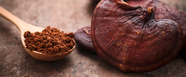 Immunstärkende Effekte von Reishi (Foto: Shutterstock, T. Srichaiyos) Ein Reishi-Pilz und dessen Pulter liegen auf einer dunklen Holzplatte. Das Pulber ist in einem hellen Holzlöffel.