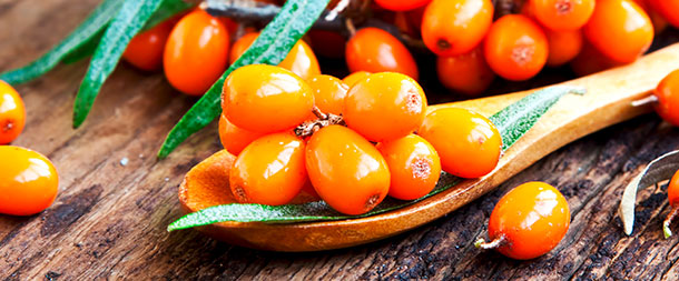 Verjüngende Effekte von Sandorn (Foto: Shutterstock, Catalina M.) Frische Sandorn-Beeren liegen auf einem alten Holztisch, teils in einem Holzlöffel.
