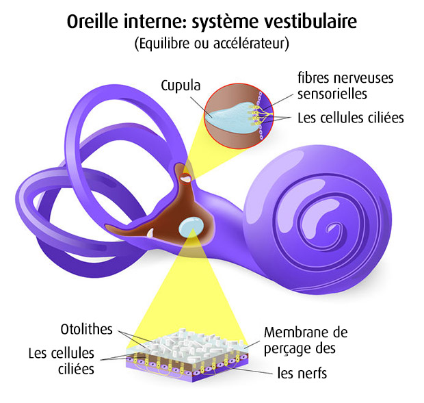 Informez-vous sur la perte auditive (Illustration: 123RF, Designua)