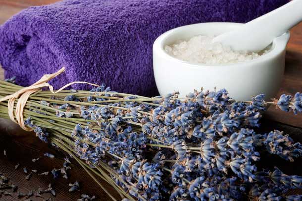 Lavendel Meersalz