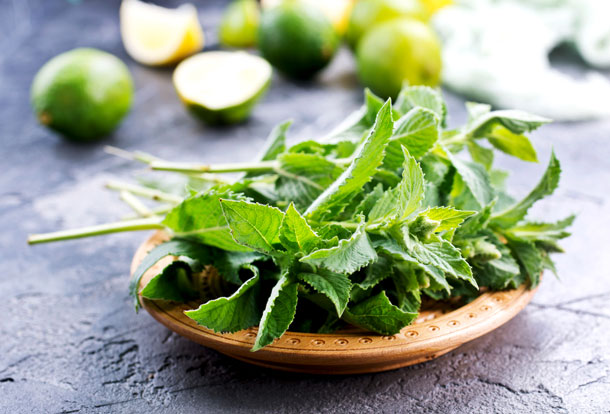 Pfefferminze (Foto: 123RF, Y. Gayvoronskaya) Pfefferminze wirkt antioxidativ und antientzündlich.