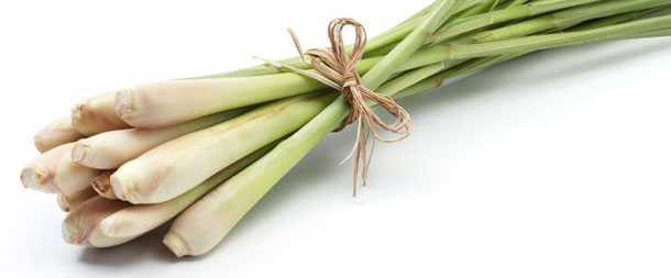 La citronnelle a un effet antiarthritique (Photo: 123RF, ifong) La citronnelle aide en cas de problèmes articulaires