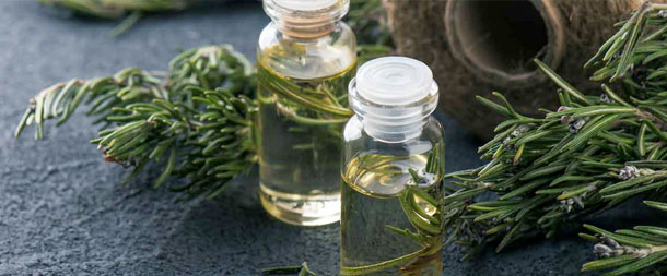 L'huile de romarin aide à lutter contre la douleur (Photo: Fotolia) L'huile de romarin aide contre les douleurs dues à l'arthrose grâce à son effet