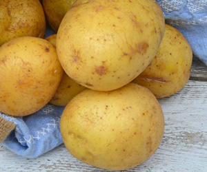 Kartoffelwickel