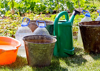 Verschiedene Gefässe zum Auffangen von Regenwasser
