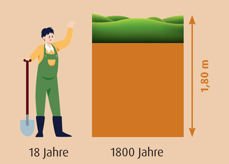 Pro Jahr wächst ein Moor um nur 1 Millimeter. (Foto: A.Vogel Gesundheits-Nachrichten, Oktober 2026) Grafik zum Wachstumsvergleich von Mensch und Moor