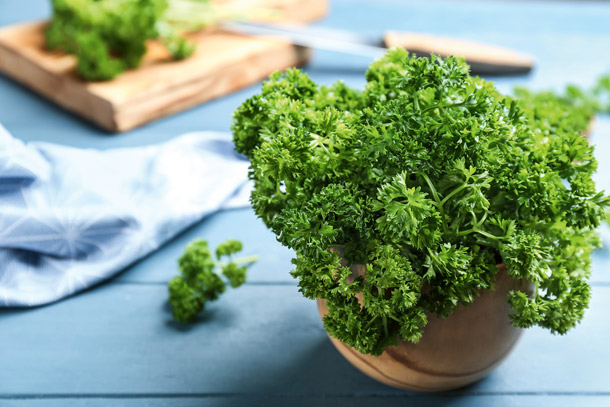 Petersilie wirkt harntreibend (Foto: 123RF/liudmilachernaestka) Schüssel mit Petersilie