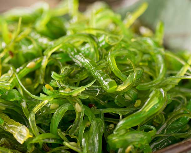 Kelp Algen, Wakame