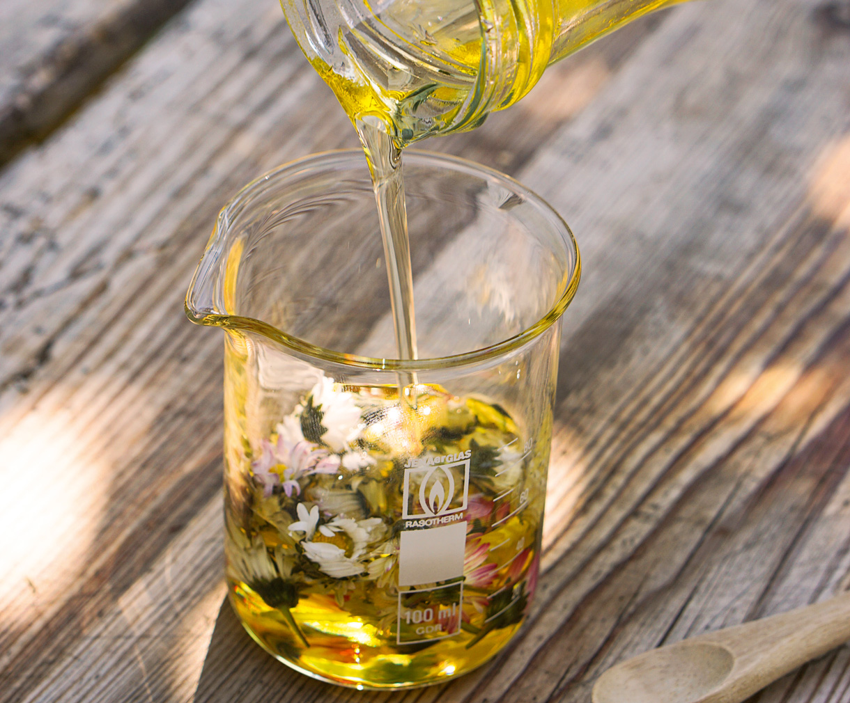 Gänseblümchen-Öl Entstehung (Foto: KvLipinski) Ein breites Reagenzglas steht draussen im Schatten auf einem Holztisch. Darin liegen Gänseblümchenblüten, die gerade mit Öl Übergossen werden. Ein Ölauszug entsteht.
