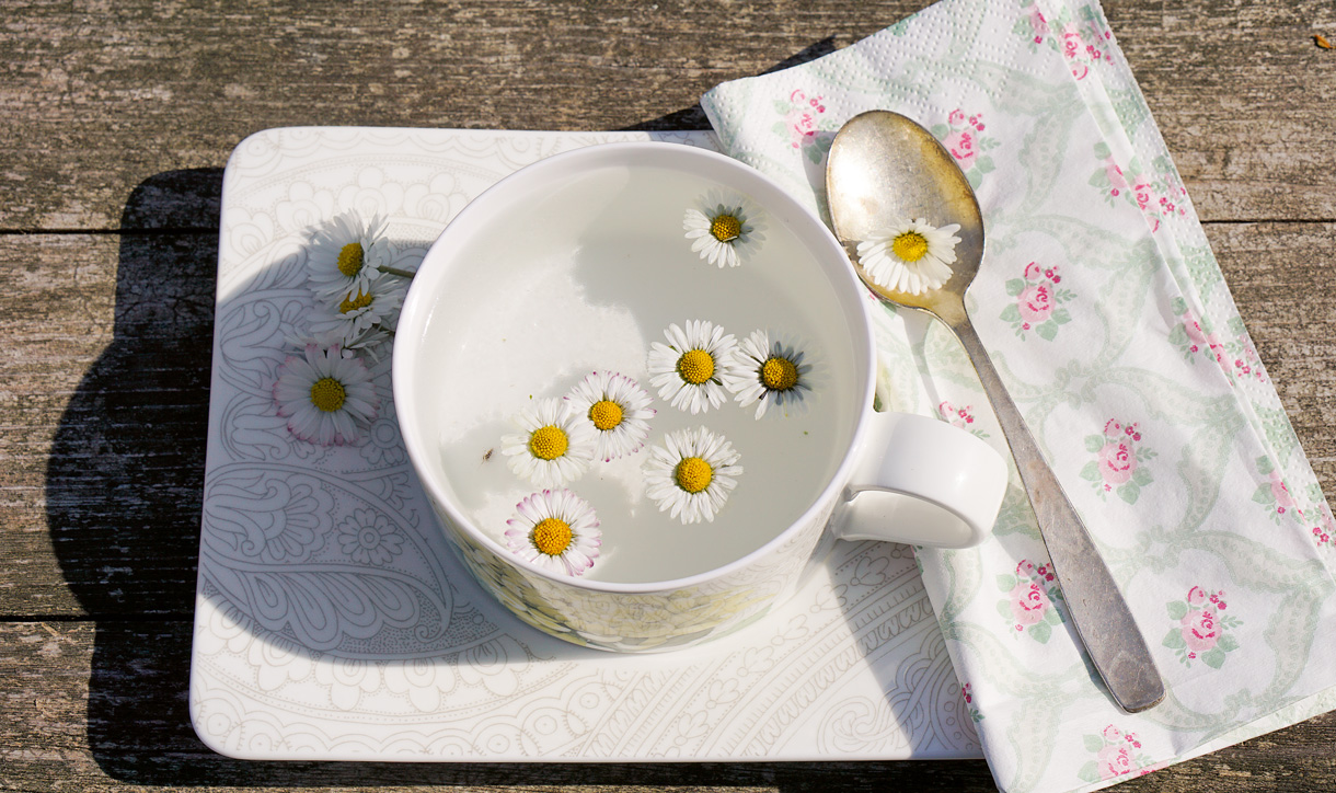 Tee aus Gänseblümchen (Foto: KVLipinski) Ansicht von Oben: Eine Tasse heisses Wasser mit Gänseblümchen-Blüten steht auf einem Holzgartentisch. Die Sonne scheint und die Tasse mit daneben liegendem Löffel und Serviette füllen das Bild komplett.