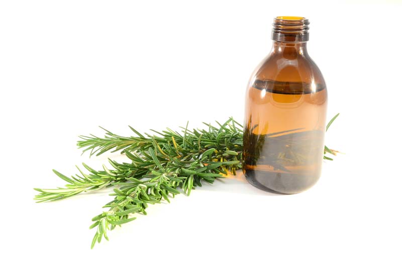Rosmarinöl: Gut für die Haut (Foto: dreamstime/Francesco Alessi) Rosmarinöl mit Rosmarinzweig